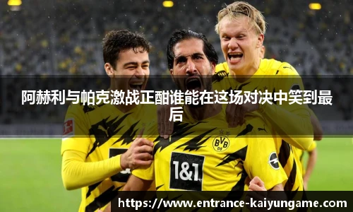 开云kaiyun平台