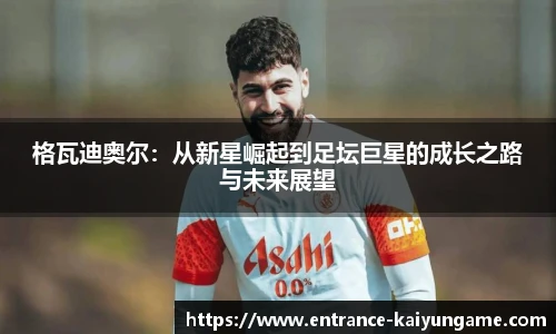 开云kaiyun官网
