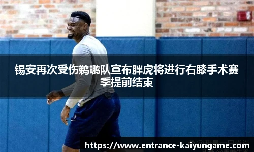 开云kaiyun官网